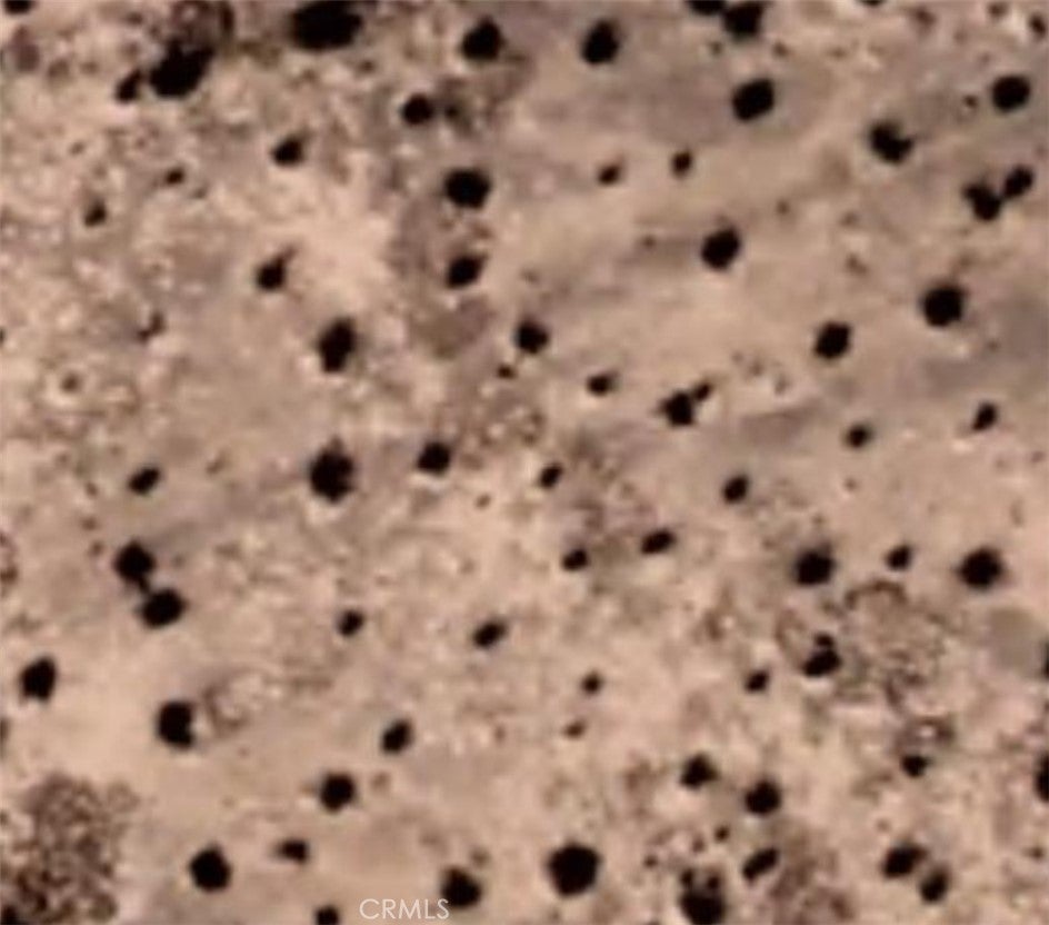 Photo of Listing #BB25028213