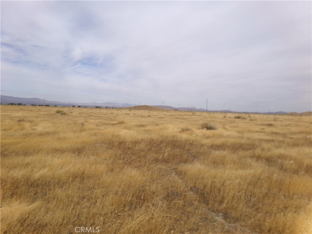 Photo of Listing #HD25028740