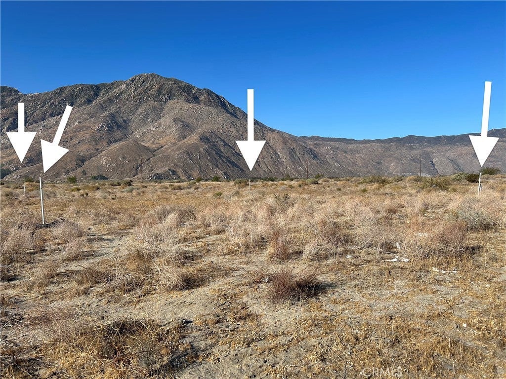 Photo of Listing #SW25029784