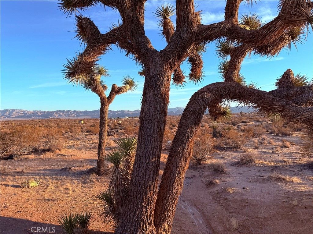 2700 Del Sol, Joshua Tree