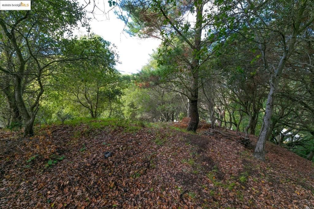 26 Lucille Way, Orinda