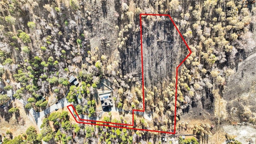 Logwood Drive, Wrightwood