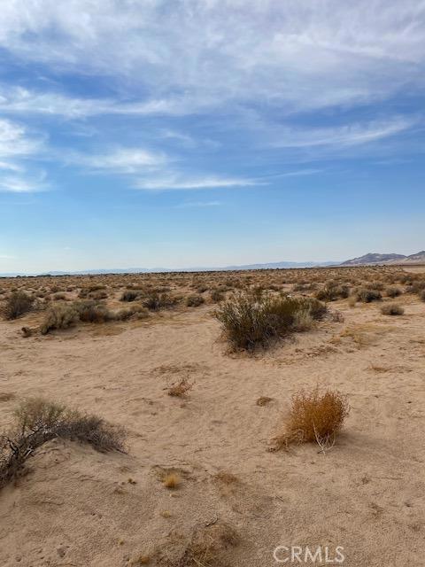 Photo of Listing #HD25031420