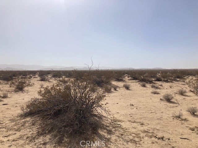 Photo of Listing #JT25032075