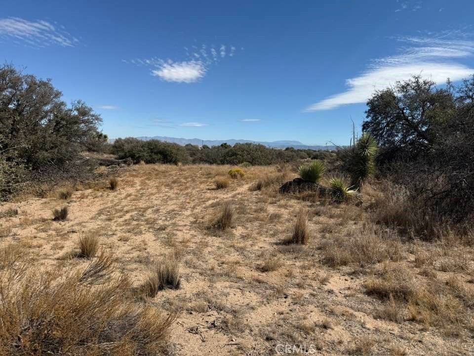 Photo of Listing #HD25031665