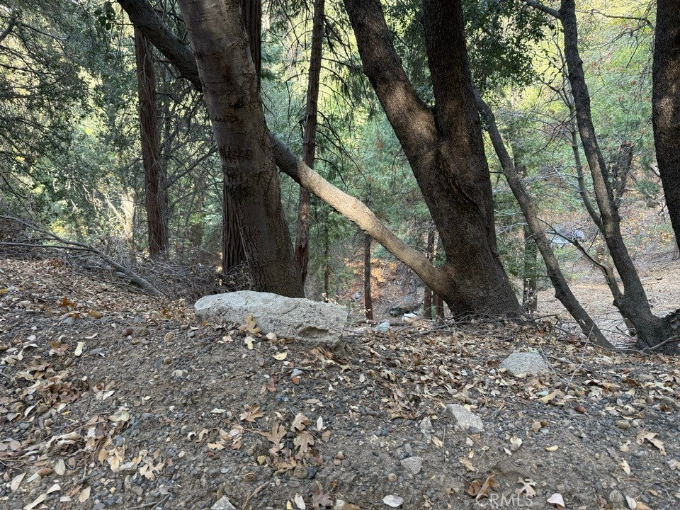 Photo of Listing #HD25031797