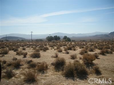 Photo of Listing #HD25032359