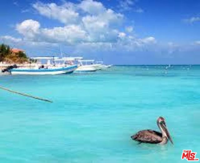 Puerto Morelos, Quintana Roo, Cancun Mexico, 