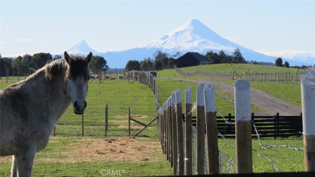 Photo of Listing #SR25033968