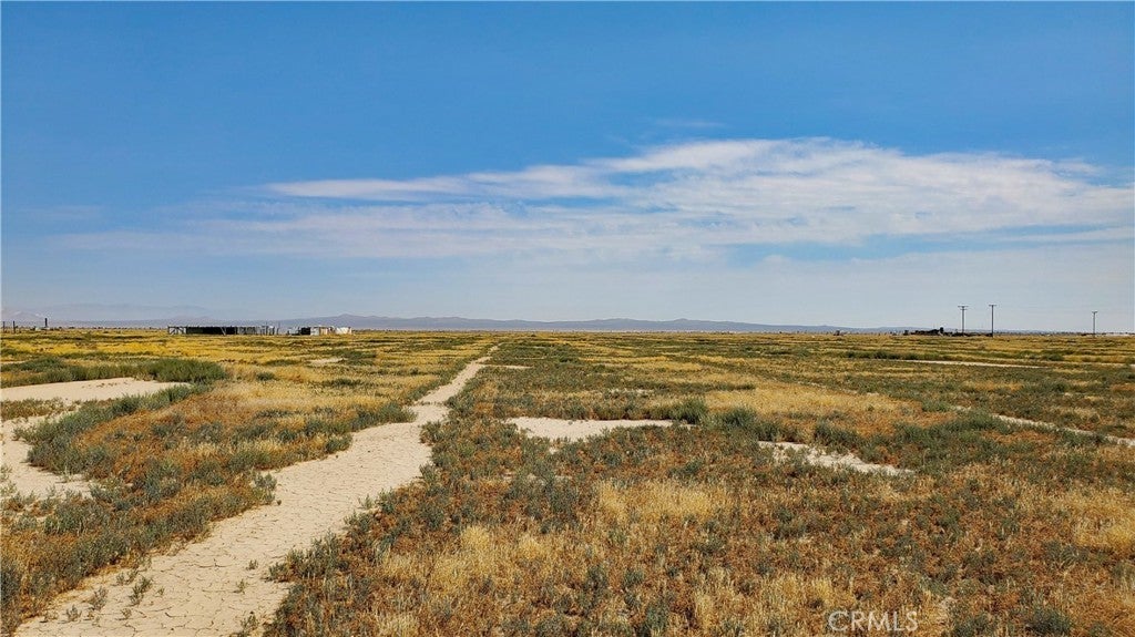 Photo of Listing #SR25032479