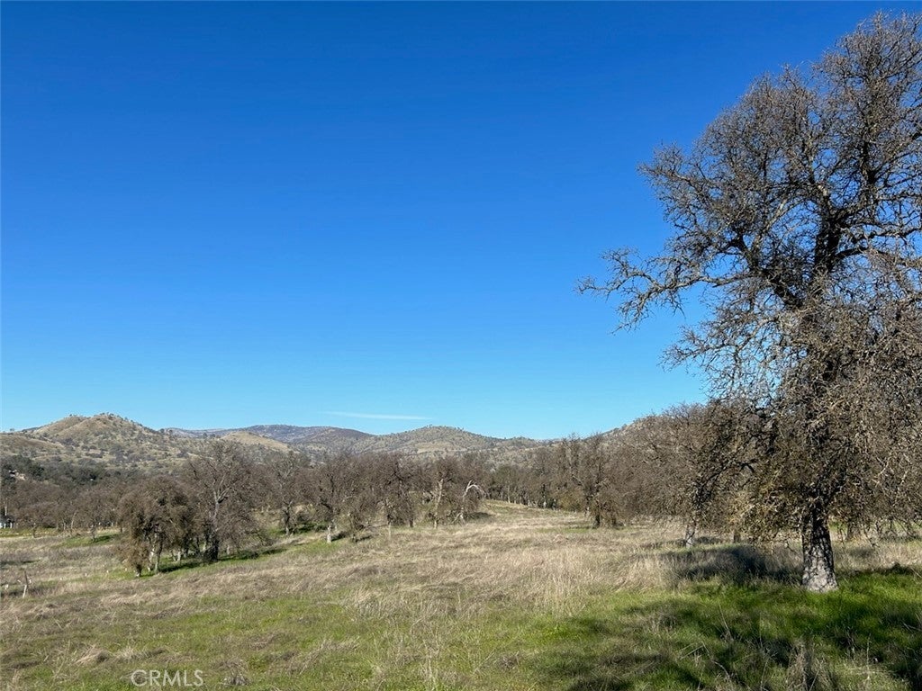 5 Acres - El Toro Road, Catheys Valley