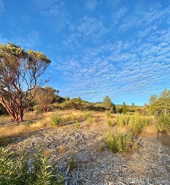 Photo of Listing #MP25036201