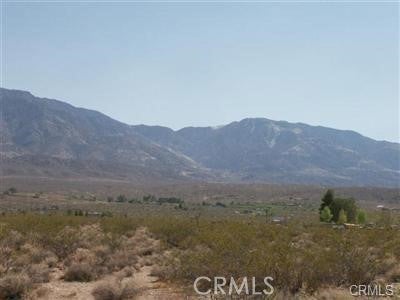 Photo of Listing #HD25036729