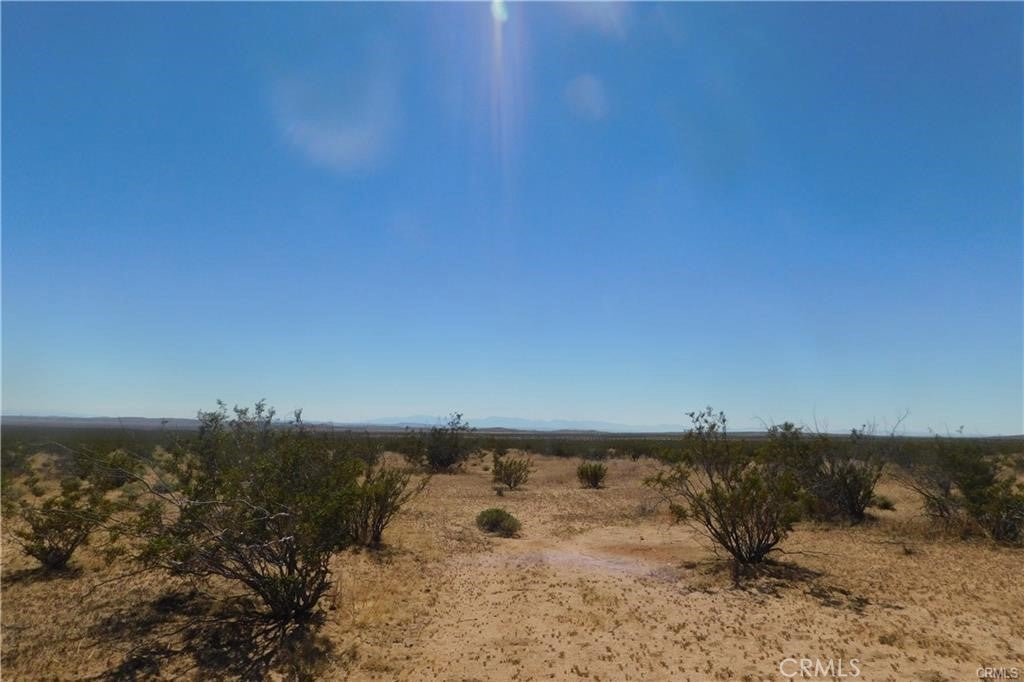 Photo of Listing #IV25038332