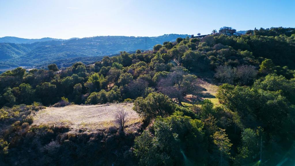 Photo of Listing #ML81995047