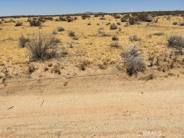 Photo of Listing #SR25040640