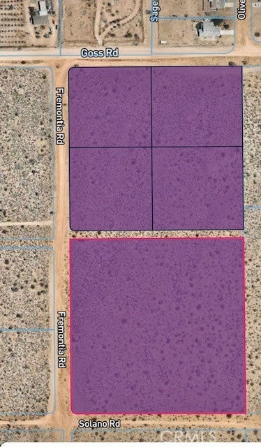 Eucalyptus, Victorville