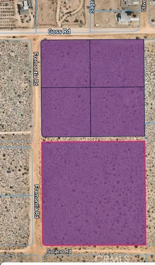 Eucalyptus, Victorville