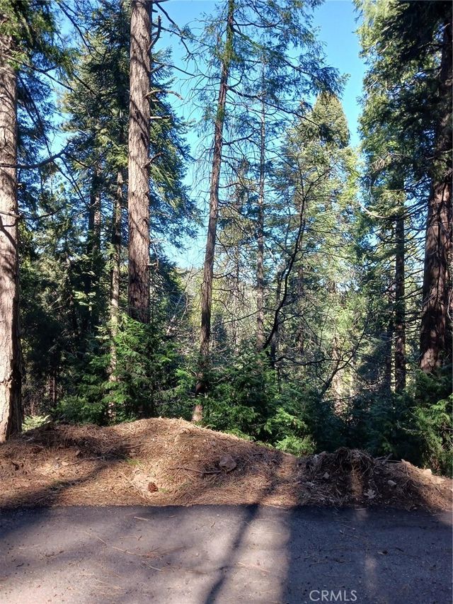 35 Spring Drive, Cedarpines Park