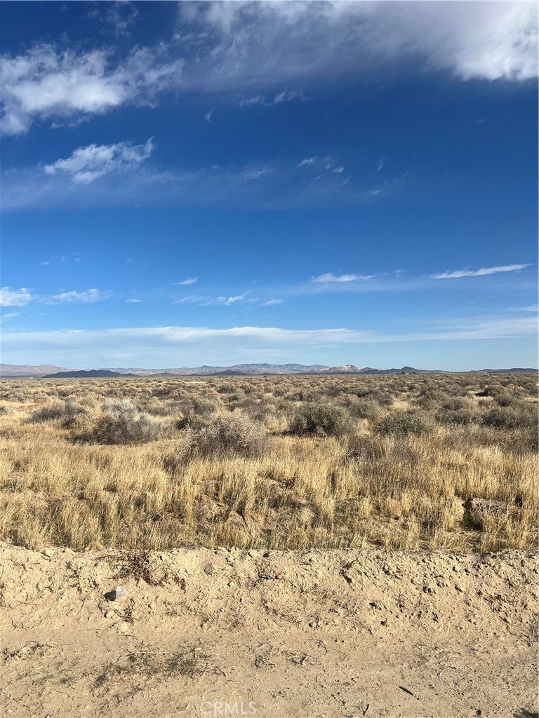 Photo of Listing #SR25043723