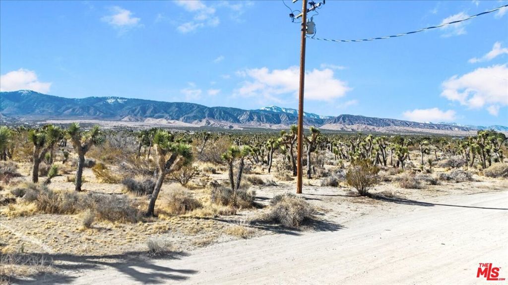 Photo of Listing #25504843