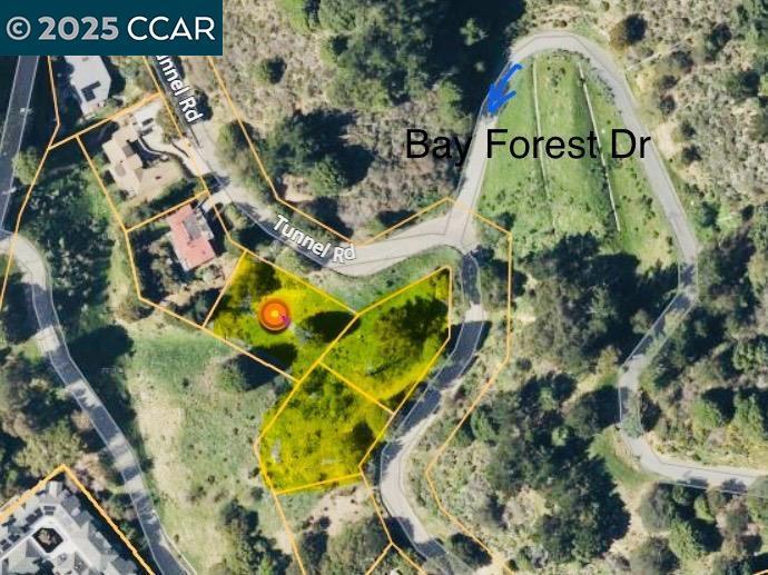 Photo of Listing #41087686