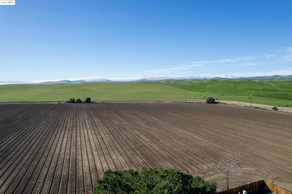 Photo of Listing #41087847