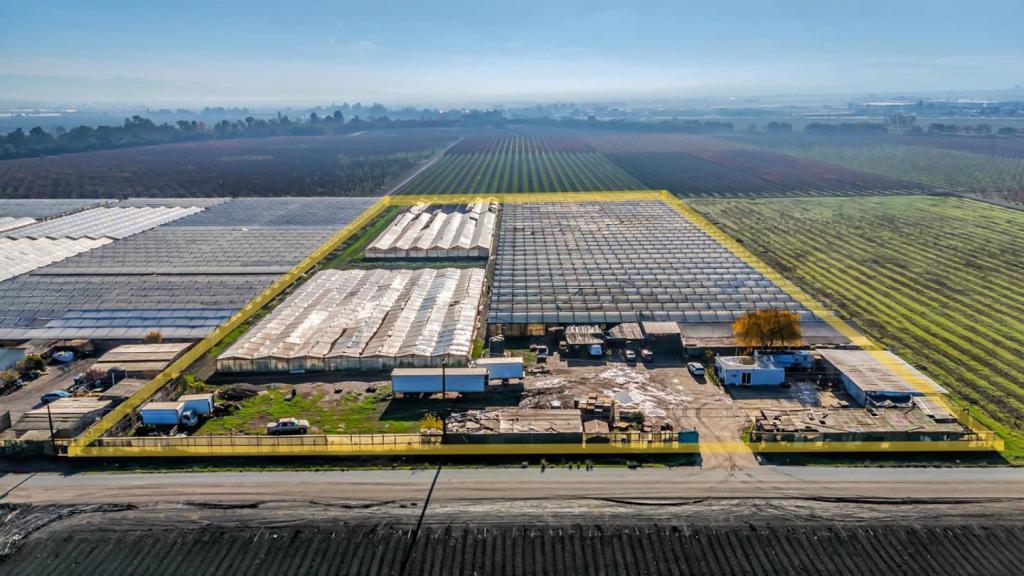 Photo of Listing #ML81996407