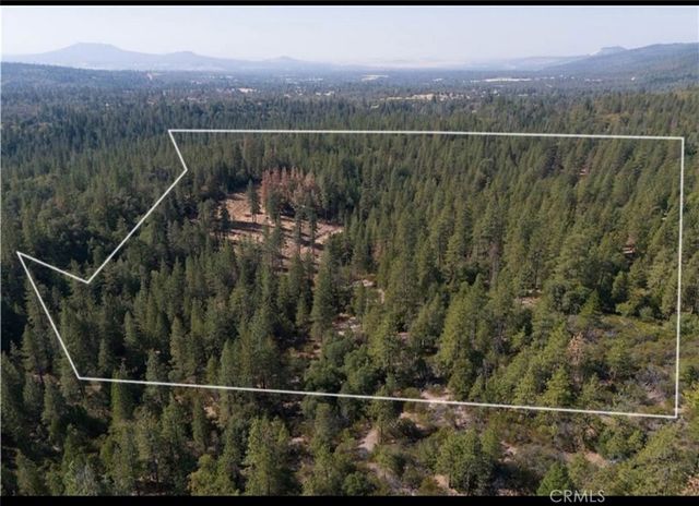 5901 Manton Ponderosa Way, Manton