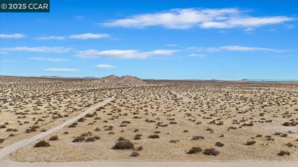 Photo of Listing #41088694