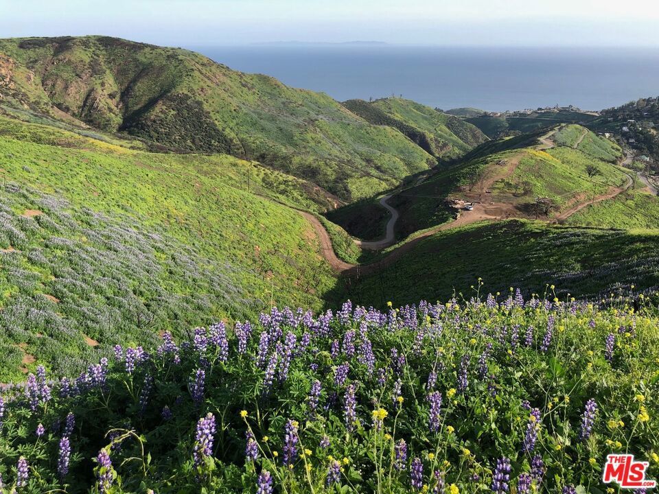 Photo of Listing #25508735