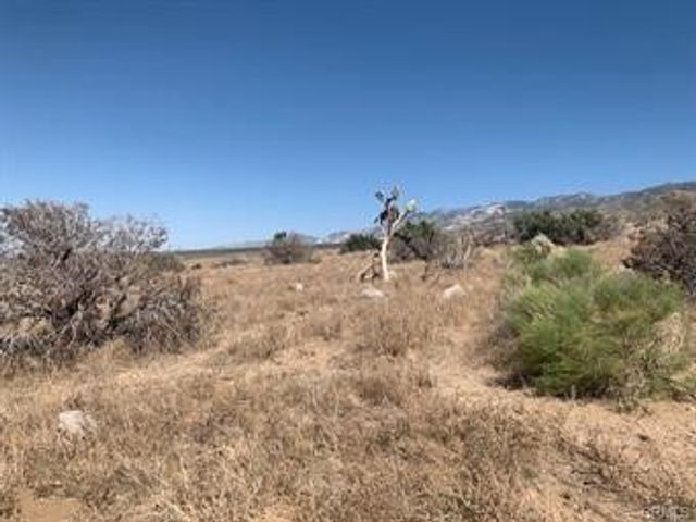 Emerald, Lucerne Valley