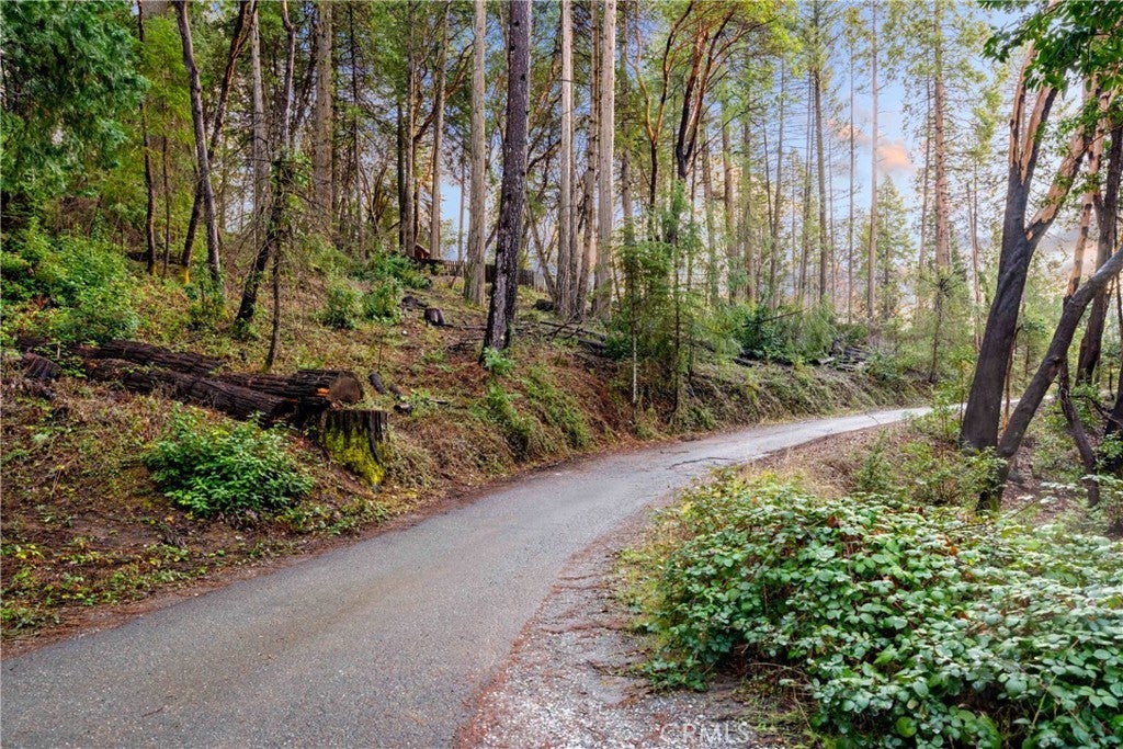 Photo of Listing #IV25051619