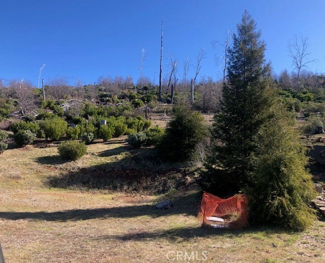 Photo of Listing #LC25044506