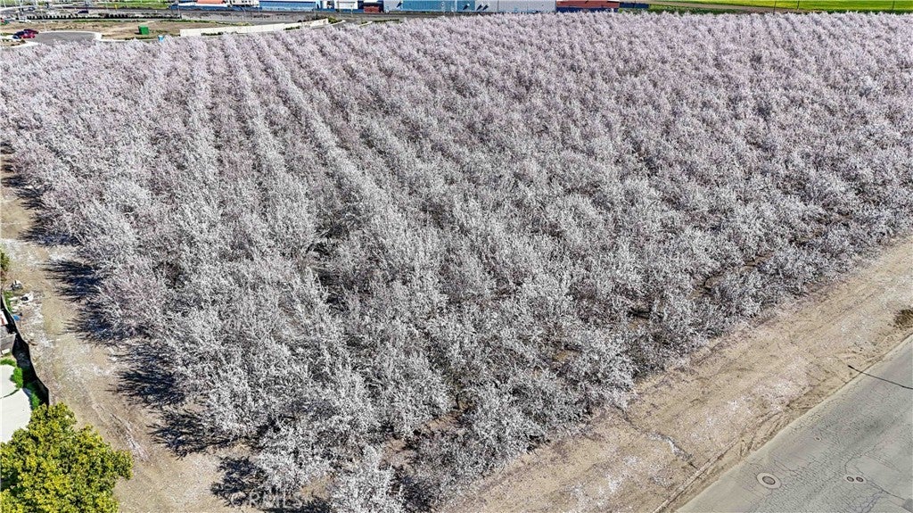 Photo of Listing #MC25052366