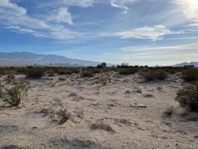Rose, Lucerne Valley