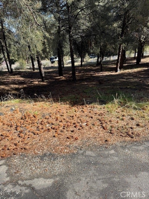 Photo of Listing #SR25054940