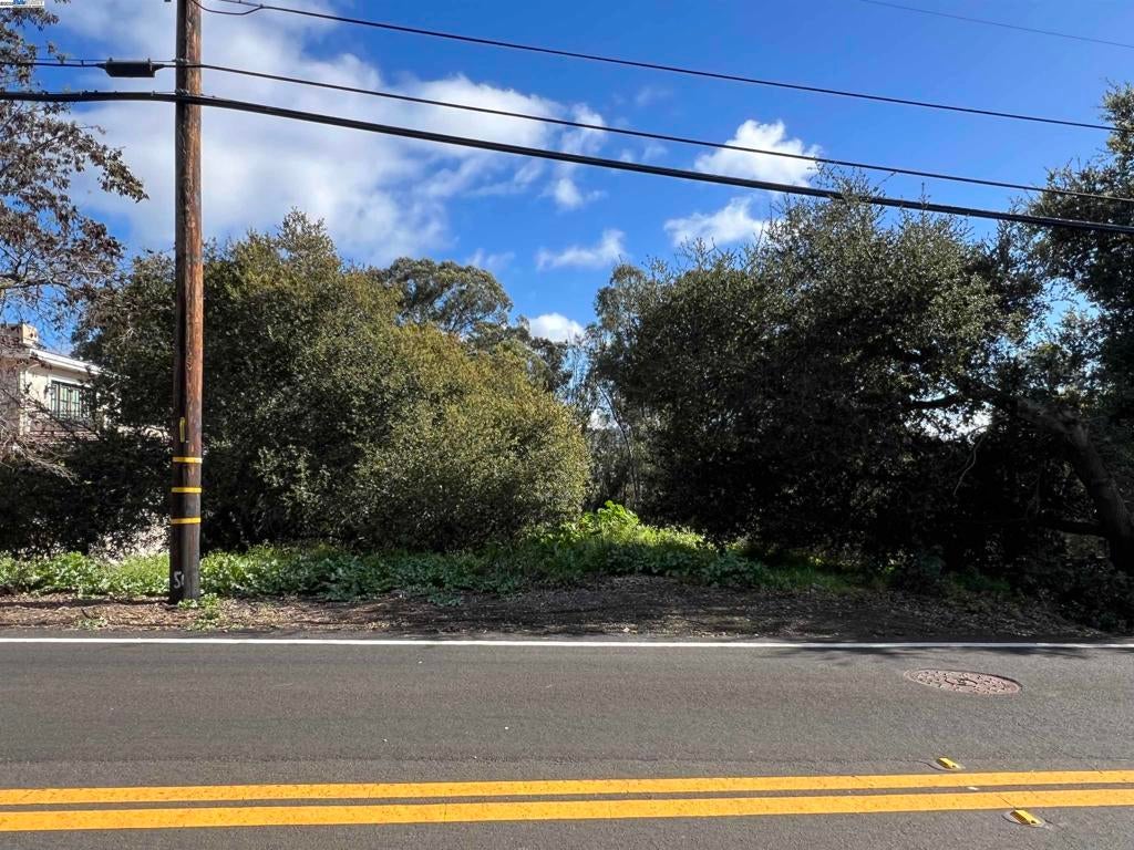 Photo of Listing #41089385