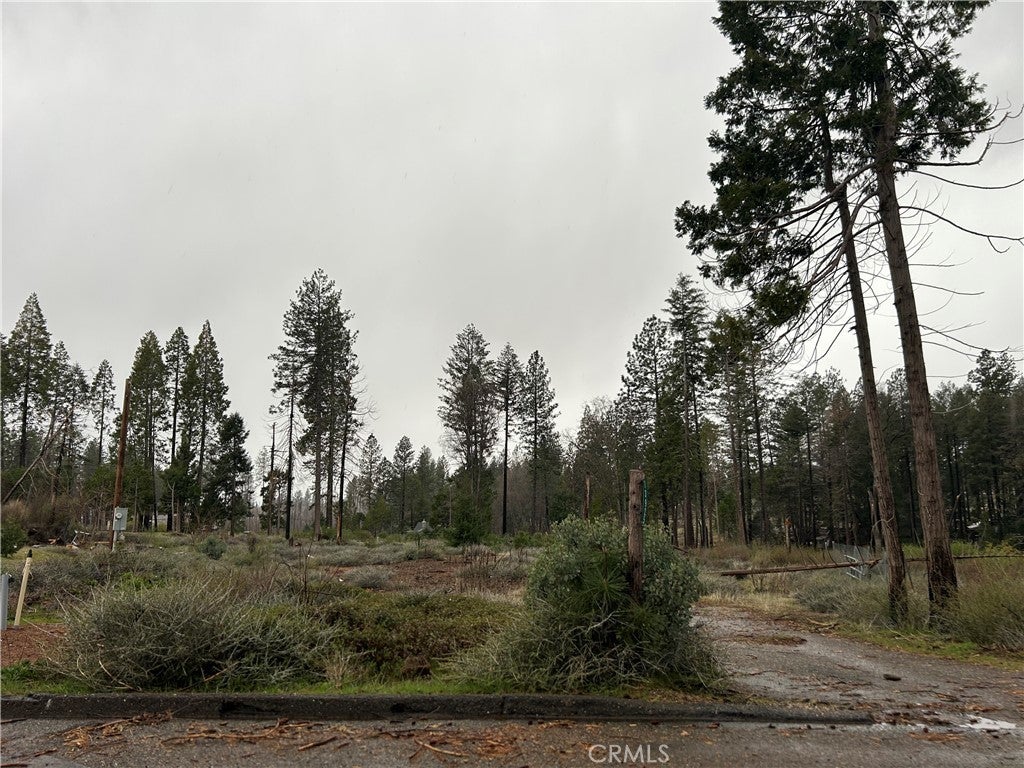 Photo of Listing #PA25057887