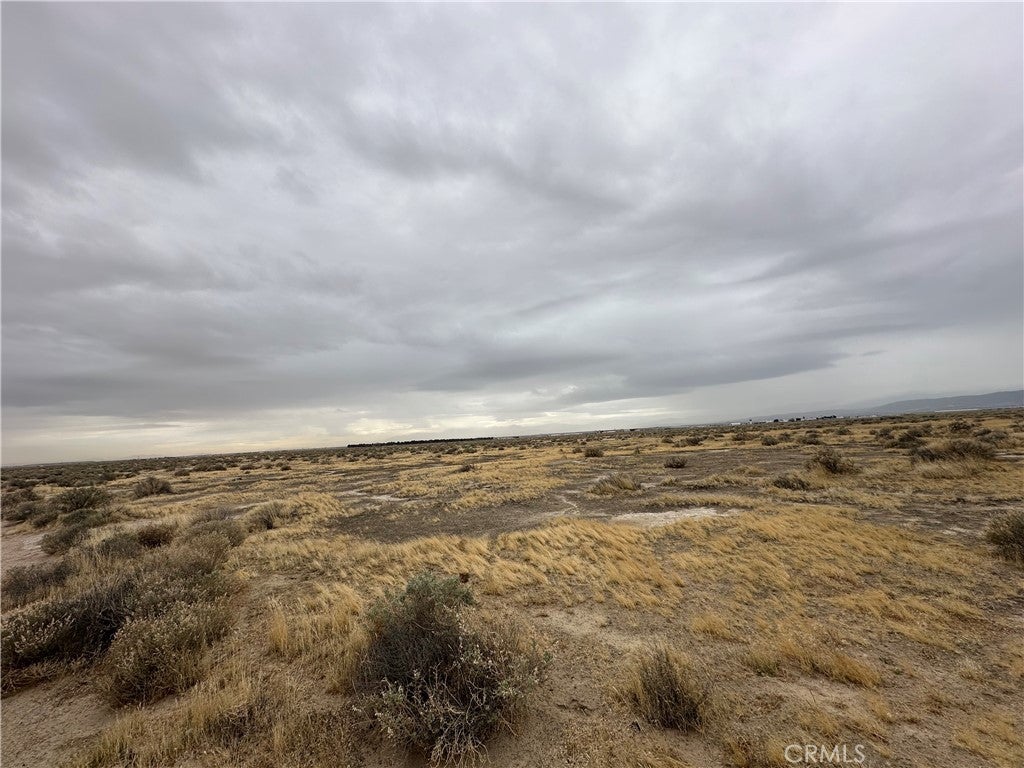 Photo of Listing #SR25055562