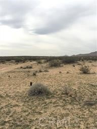 Photo of Listing #HD25053877