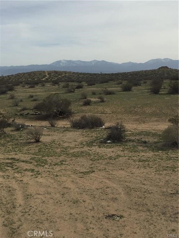 Photo of Listing #HD25053838