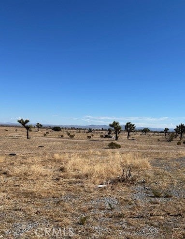 Photo of Listing #HD25053807