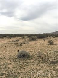 Photo of Listing #HD25053784