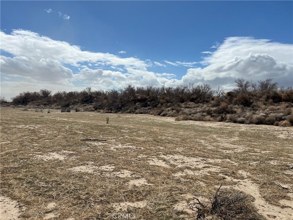 Photo of Listing #OC25060619