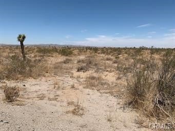 Photo of Listing #SW25060737