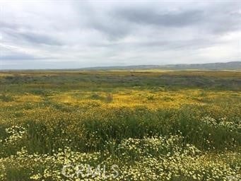 Photo of Listing #NS25060665