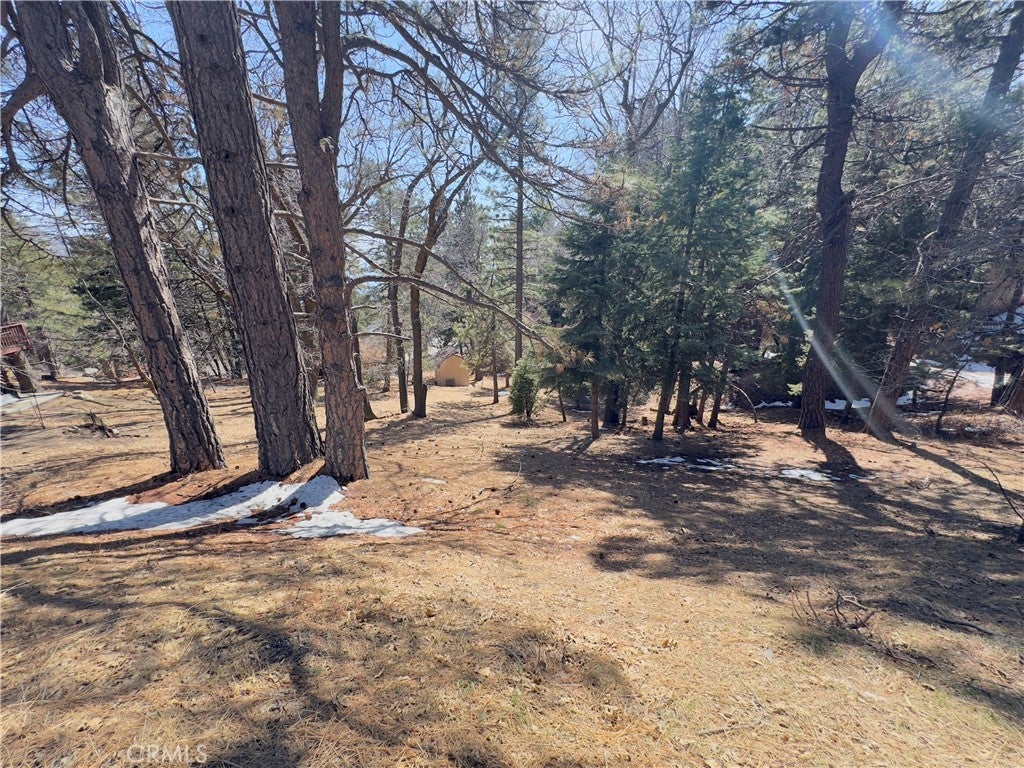 Photo of Listing #IG25063272