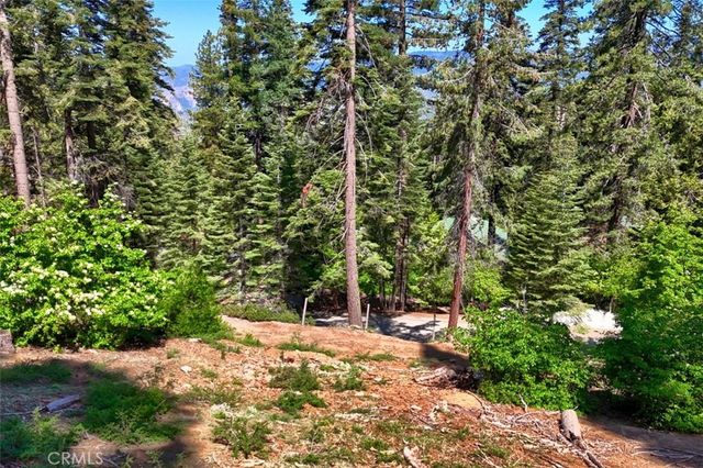 7420 Henness Ridge Road, Yosemite