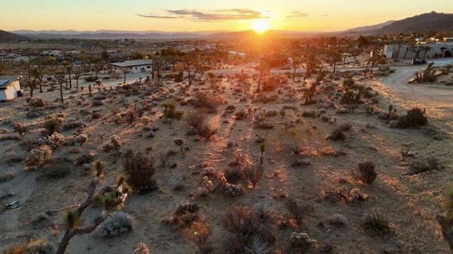 Saddleback Road, Joshua Tree